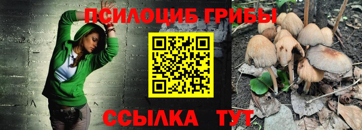 Галлюциногенные грибы MAGIC MUSHROOMS Семёнов