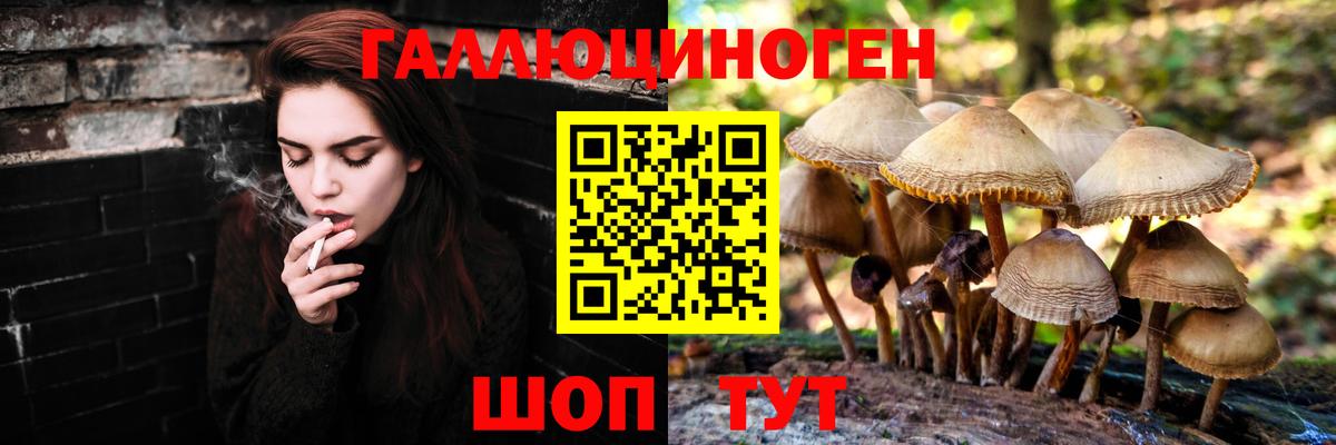 Псилоцибиновые грибы Psilocybine cubensis  Псилоцибиновые грибы GOLDEN TEACHER  Семёнов  Вход с VPN 